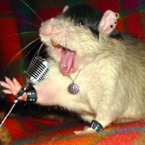 Meet your Posher, Blazie